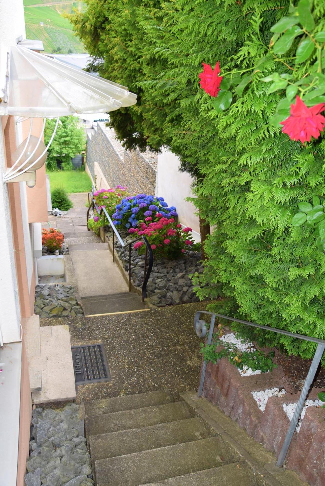 Haus Constanze Apartment Bernkastel-Kues Exterior photo