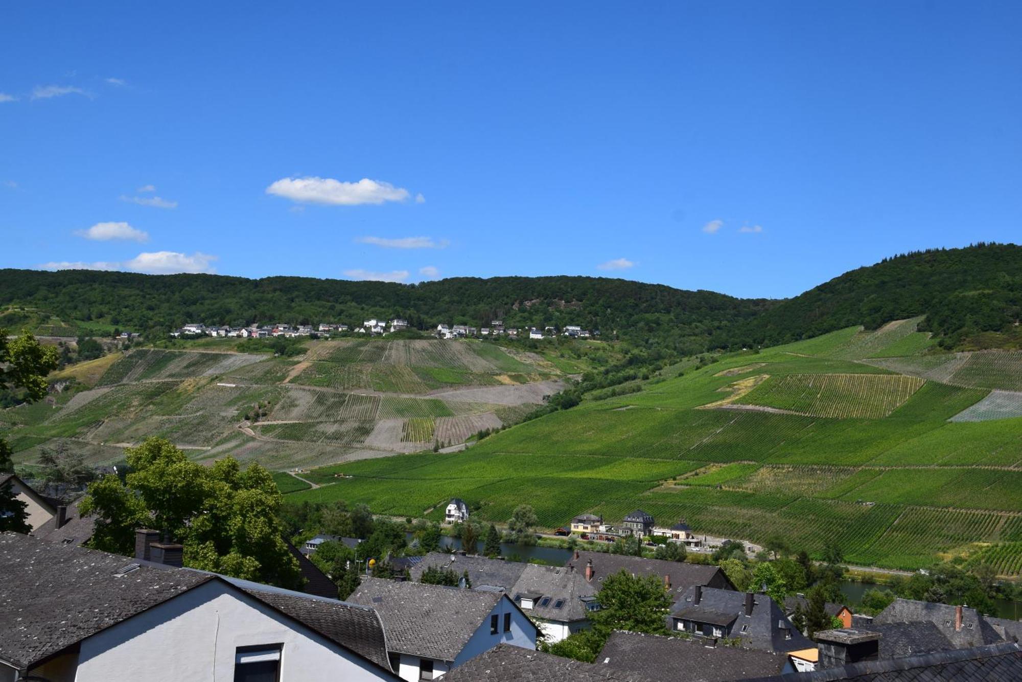Haus Constanze Apartment Bernkastel-Kues Exterior photo